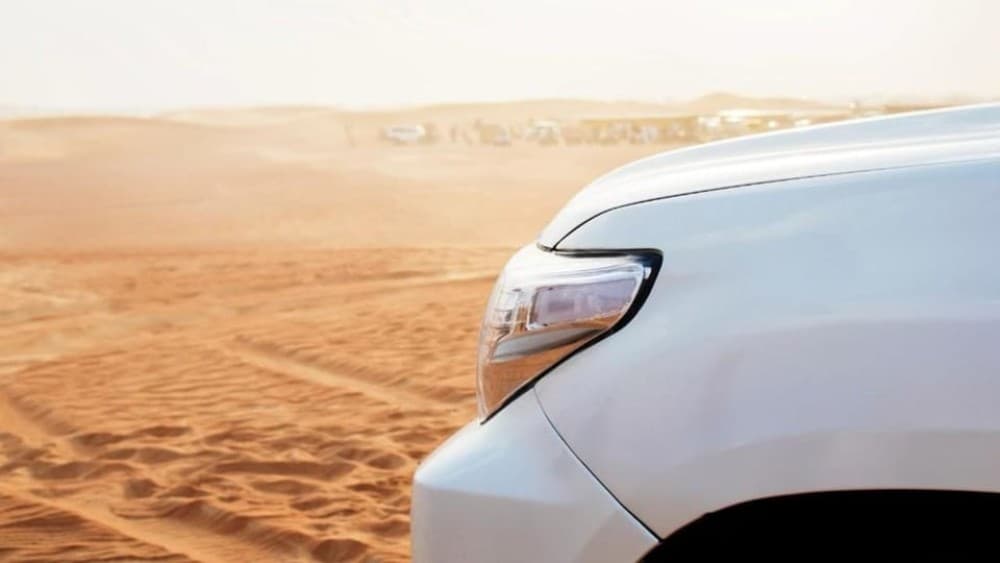 Wahiba Sand and Wadi Bani Khalid Guided Group Tour | ®ExcursionMania - Image 8