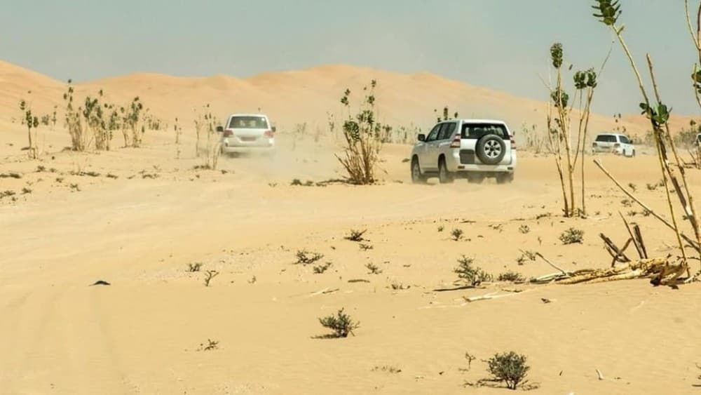 Wahiba Sand and Wadi Bani Khalid Guided Group Tour | ®ExcursionMania - Image 9