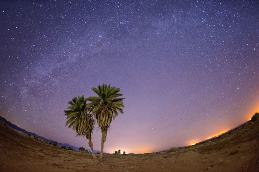 Sharm ElSheikh: Camel Riding Stargazing BBQ Dinner & Show | ®ExcursionMania - Image 10