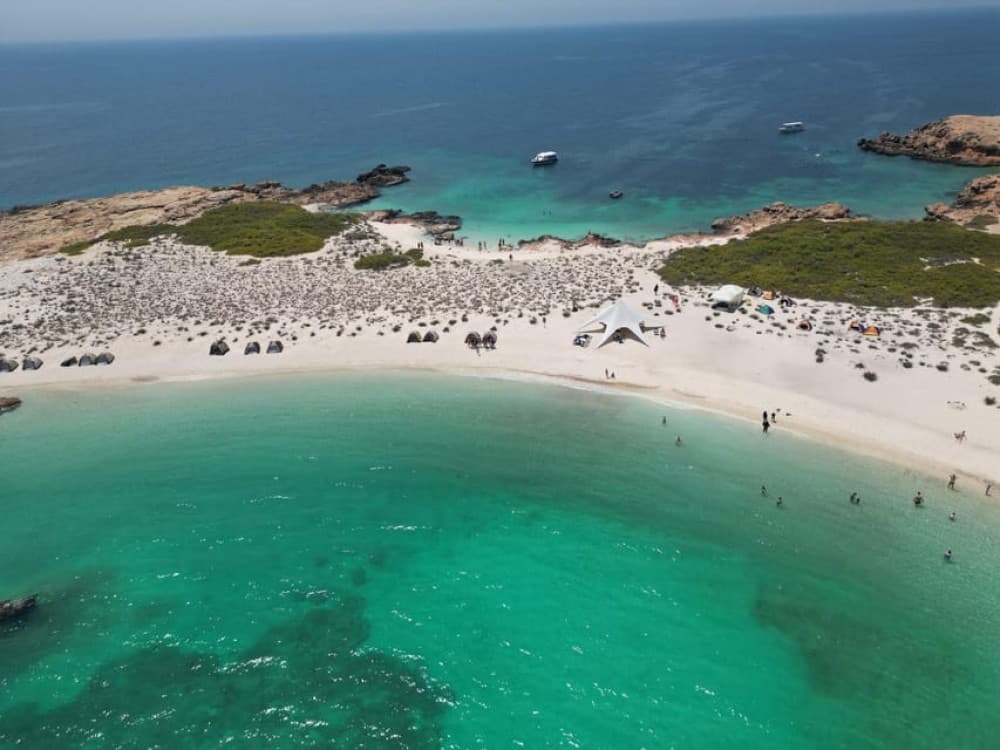 Daymaniat Islands Snorkeling Trip | ®ExcursionMania - Image 8