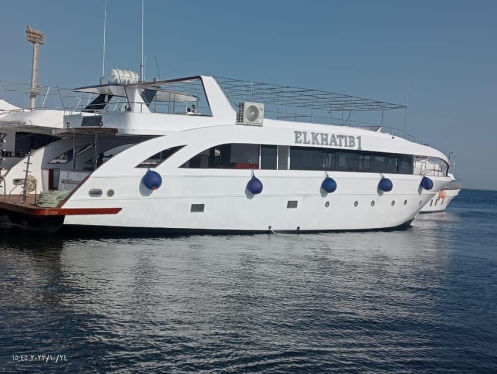 Hurghada: Dolphin Watching & Snorkeling Adventure with Lunch | ®ExcursionMania - Image 12