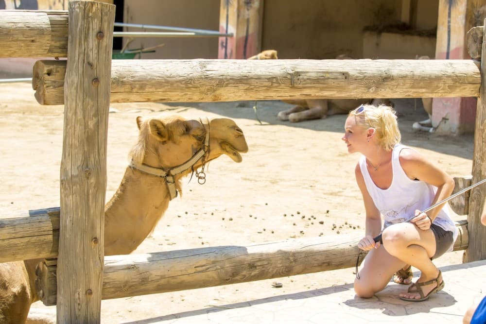 Hurghada: Desert Quad Bike and Buggy Adventure with BBQ | ®ExcursionMania - Image 4