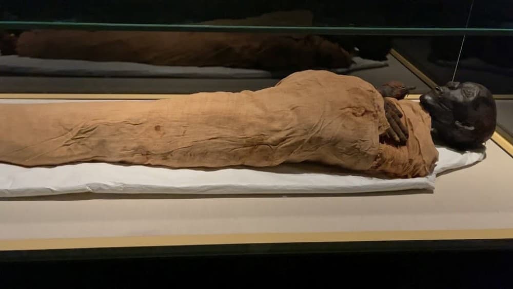 Cairo: National Museum of Egypt (NMEC) Skip-Line QR Ticket | ®ExcursionMania - Image 2