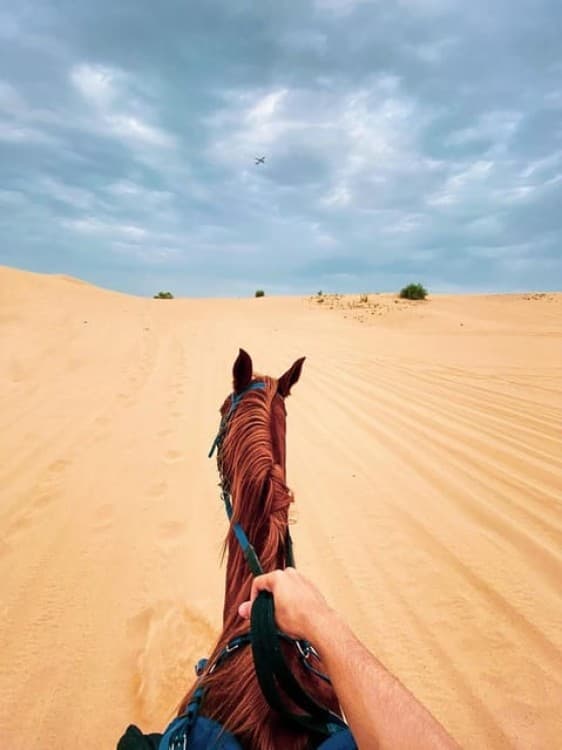 El Gouna: Desert & Sea Horse Riding with Swimming | ®ExcursionMania - Image 1