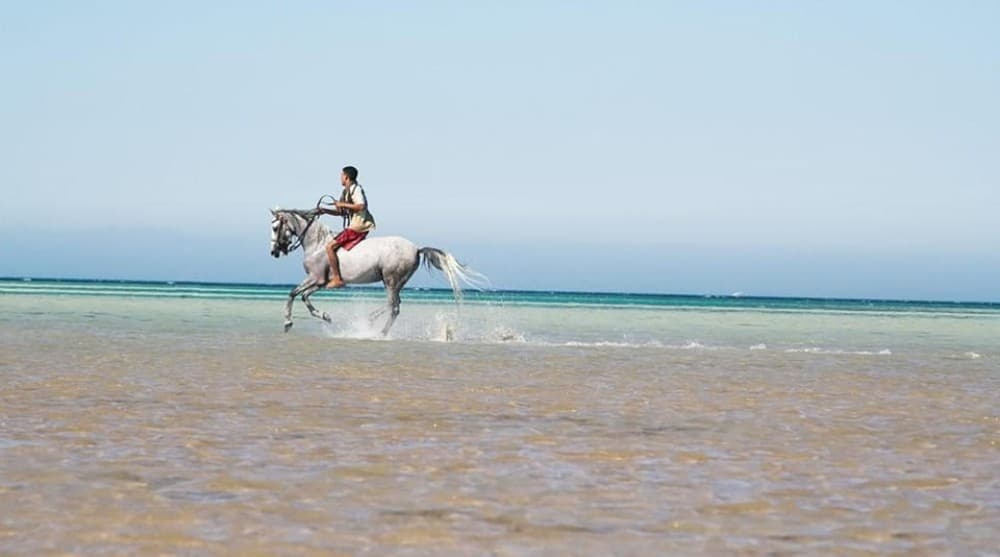 El Gouna: Desert & Sea Horse Riding with Swimming | ®ExcursionMania - Image 4