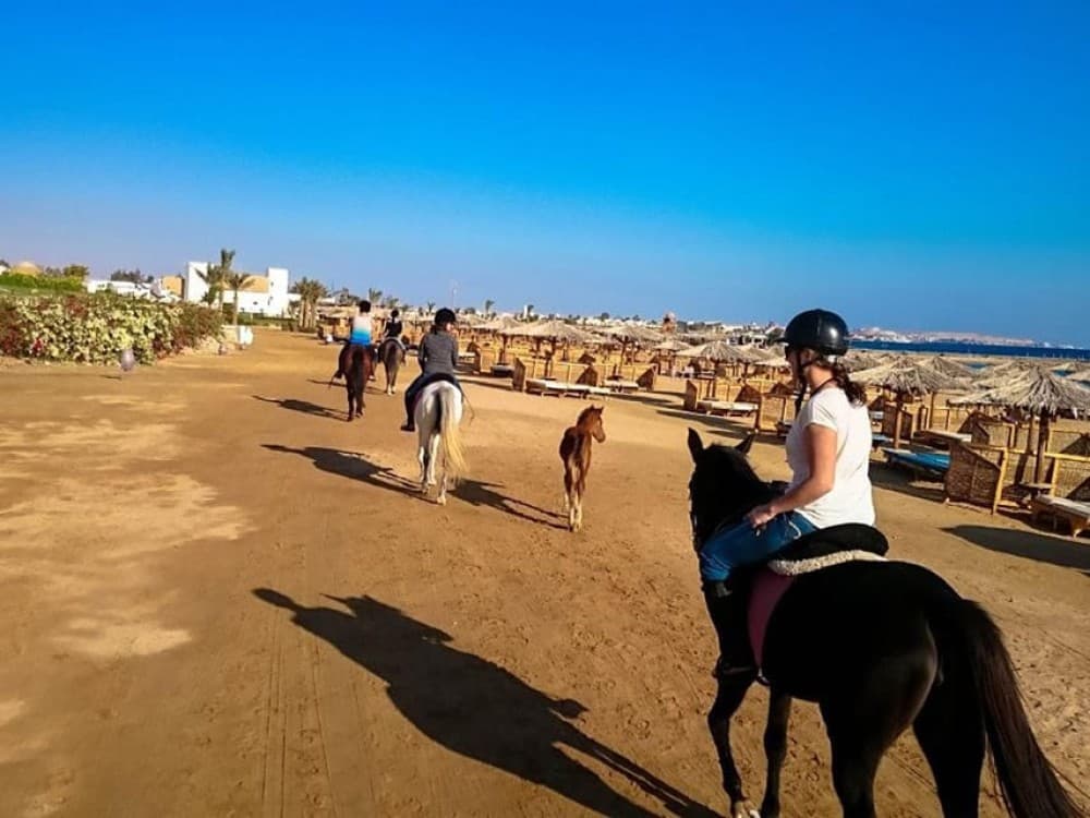 El Gouna: Desert & Sea Horse Riding with Swimming | ®ExcursionMania - Image 7