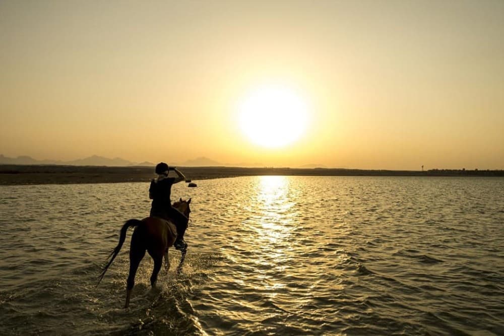 El Gouna: Desert & Sea Horse Riding with Swimming | ®ExcursionMania - Image 11