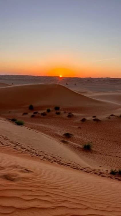 Safari World Zoo and Wahiba Sands Sunset with Dinner | ®ExcursionMania - Image 1