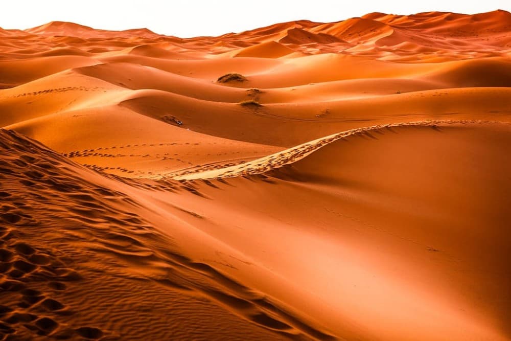 Dubai: Red Dune Safari Camel Ride Sandboarding and Dinner | ®ExcursionMania - Image 1