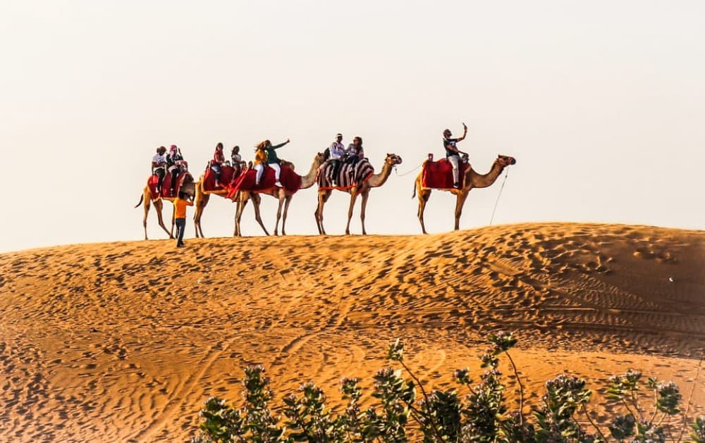 Dubai: Red Dune Safari Camel Ride Sandboarding and Dinner | ®ExcursionMania - Image 3