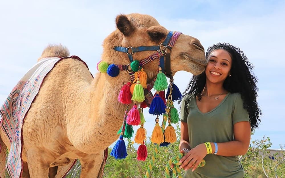 Hurghada: 3 Hour Camel Riding with Bedouin vibe | ®ExcursionMania - Image 2