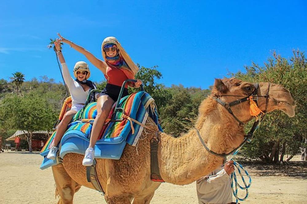 Hurghada: 3 Hour Camel Riding with Bedouin vibe | ®ExcursionMania - Image 4