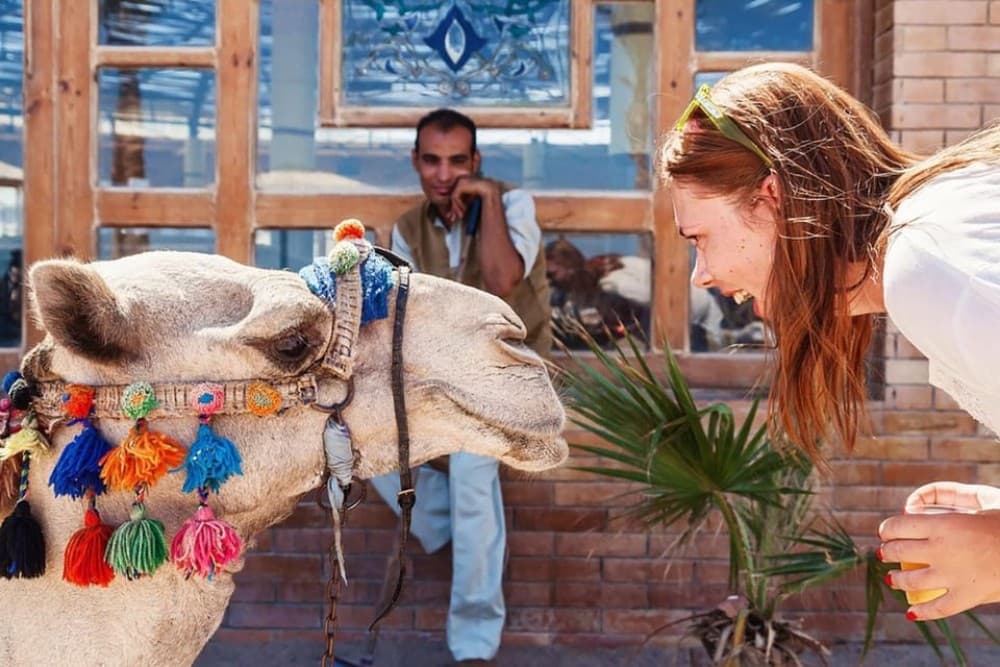 Hurghada: 3 Hour Camel Riding with Bedouin vibe | ®ExcursionMania - Image 7