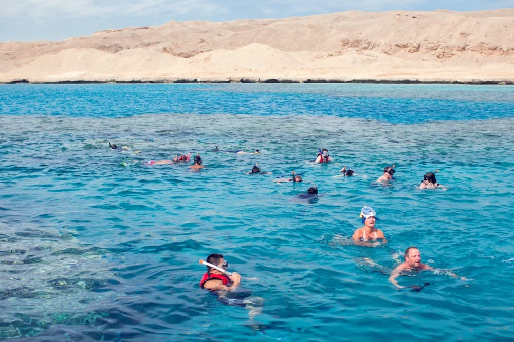 Hurghada: Dolphin Watching Boat Tour with Snorkeling & Lunch | ®ExcursionMania - Image 3