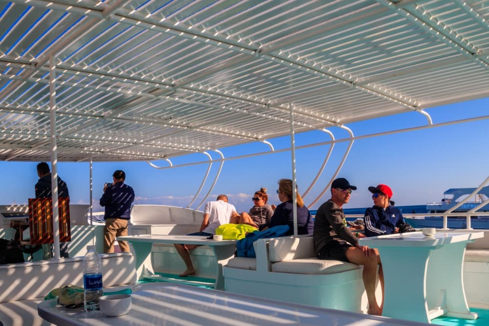 Hurghada: Dolphin Watching Boat Tour with Snorkeling & Lunch | ®ExcursionMania - Image 10