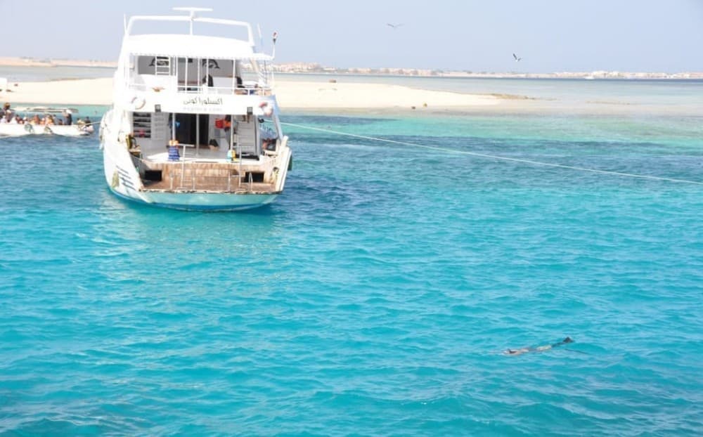 Hurghada: Full-Day Snorkling Trip to Super Utopia With Lunch | ®ExcursionMania - Image 5