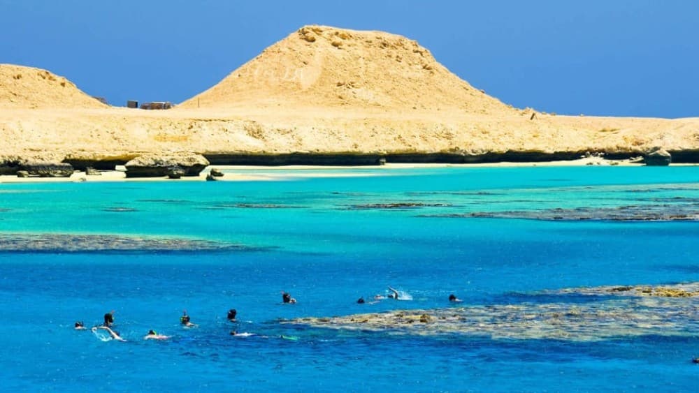 Hurghada: Full-Day Snorkling Trip to Super Utopia With Lunch | ®ExcursionMania - Image 9