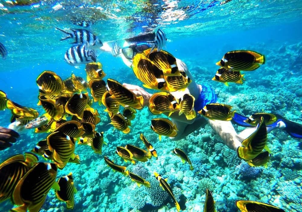 Hurghada: Full-Day Snorkling Trip to Super Utopia With Lunch | ®ExcursionMania - Image 10