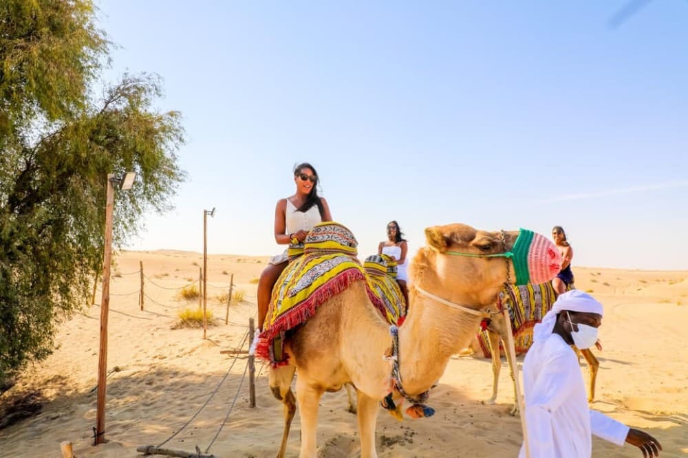 Dubai: Camel & Horse Ride, Al Khayma Camp, Stargazing, & BBQ | ®ExcursionMania - Image 10