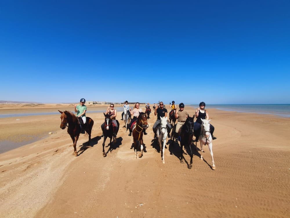 Hurghada: Desert & Sea Horse Riding Tour W/Optional Swimming | ®ExcursionMania - Image 5