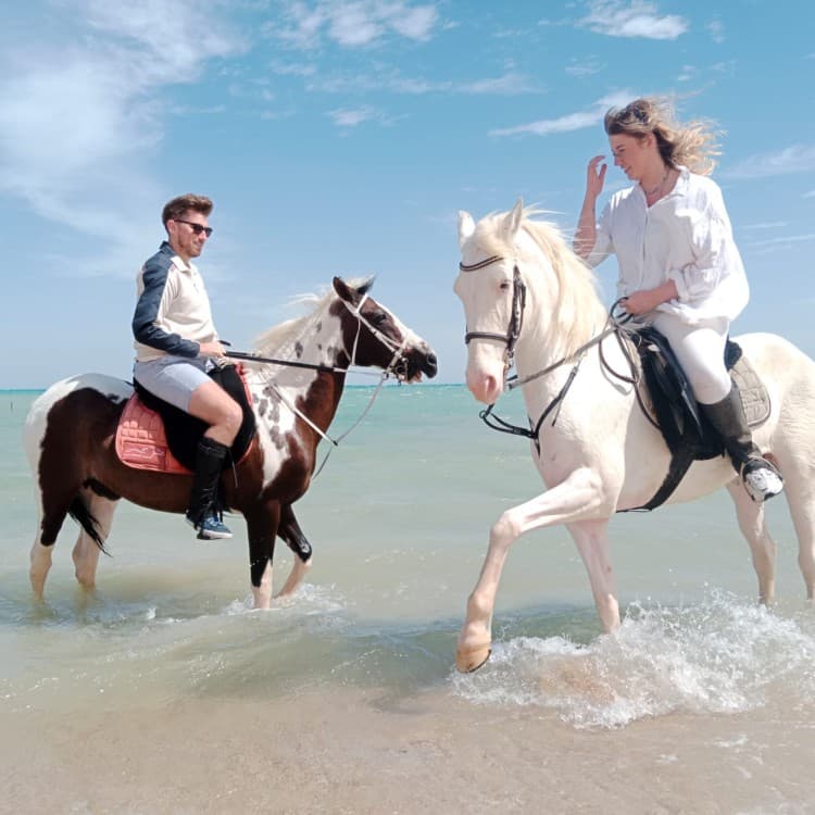 Hurghada: Desert & Sea Horse Riding Tour W/Optional Swimming | ®ExcursionMania - Image 7