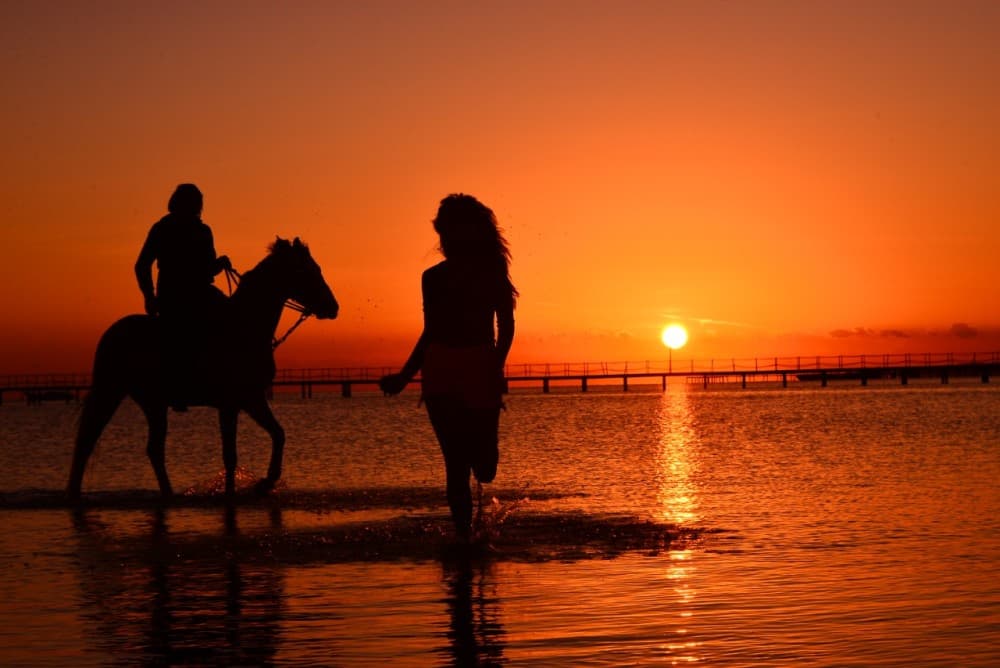 Hurghada: Desert & Sea Horse Riding Tour W/Optional Swimming | ®ExcursionMania - Image 2