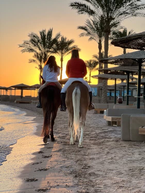 Hurghada: Desert & Sea Horse Riding Tour W/Optional Swimming | ®ExcursionMania - Image 9