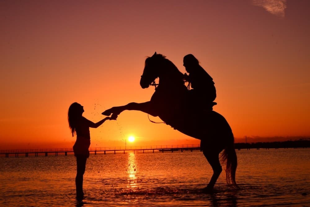 Hurghada: Desert & Sea Horse Riding Tour W/Optional Swimming | ®ExcursionMania - Image 3