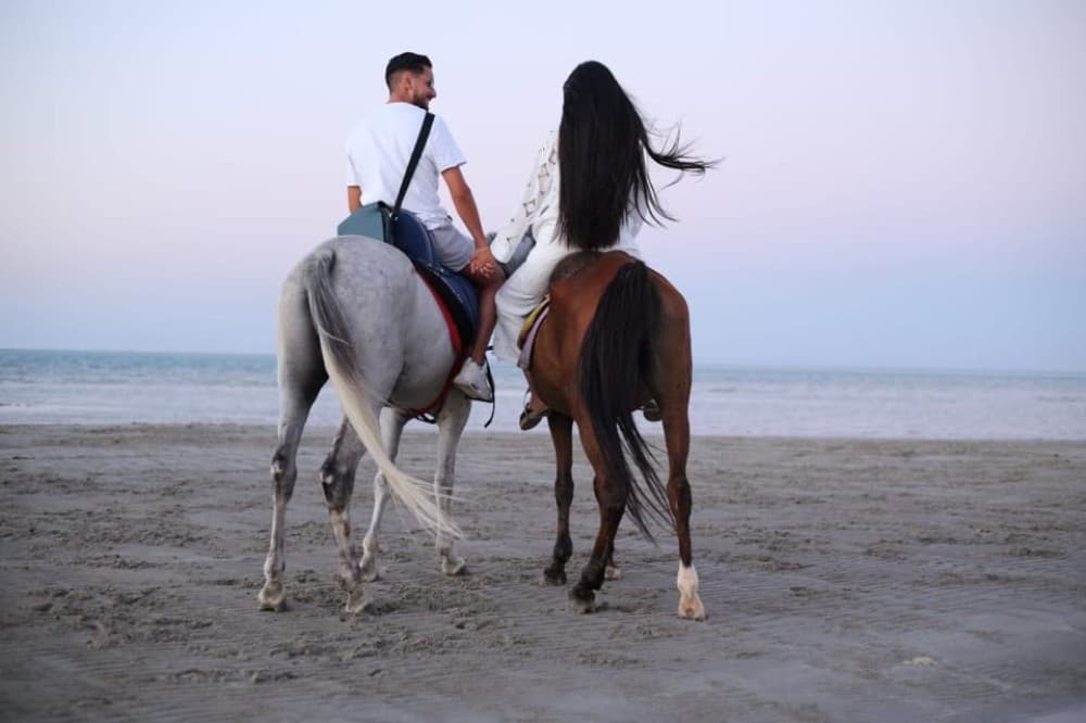Hurghada: Desert & Sea Horse Riding Tour W/Optional Swimming | ®ExcursionMania - Image 12
