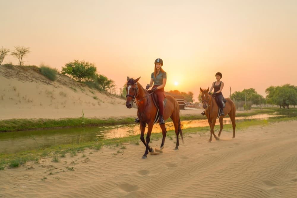 Dubai: Al Marmoom Oasis Horse Riding Experience with Snack | ®ExcursionMania - Image 11