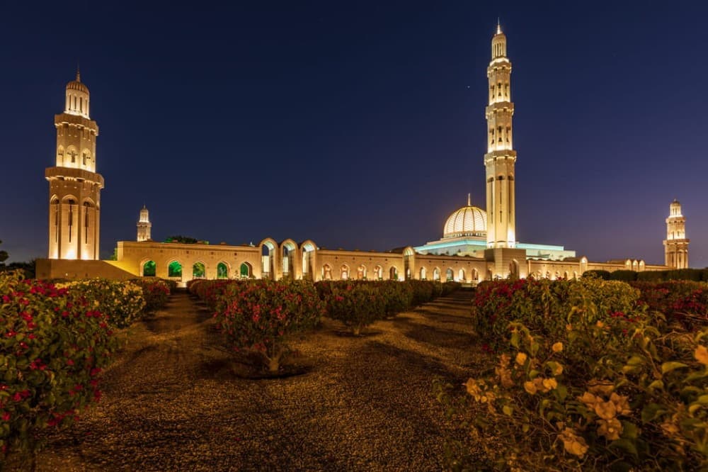 Muscat: Evening Guided City Highlights Tour by Van | ®ExcursionMania - Image 3