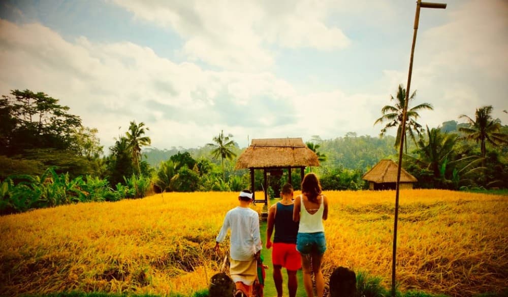 Ubud: Half-Day Semi-Customized Private-Tour with Live Guide | ®ExcursionMania - Image 4