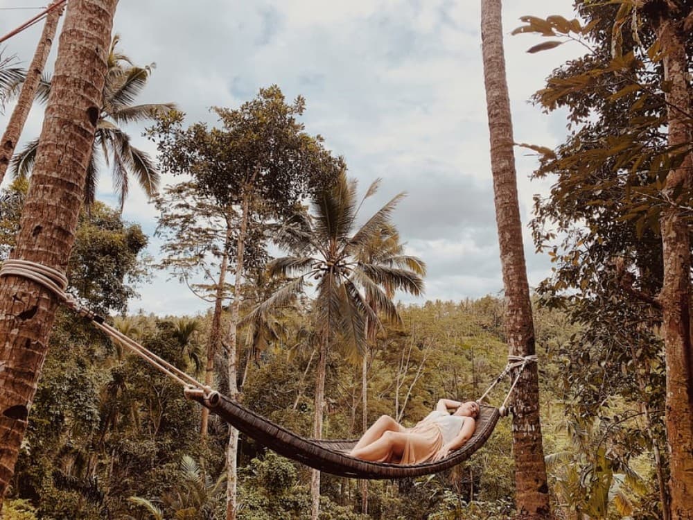 Ubud: Half-Day Semi-Customized Private-Tour with Live Guide | ®ExcursionMania - Image 5