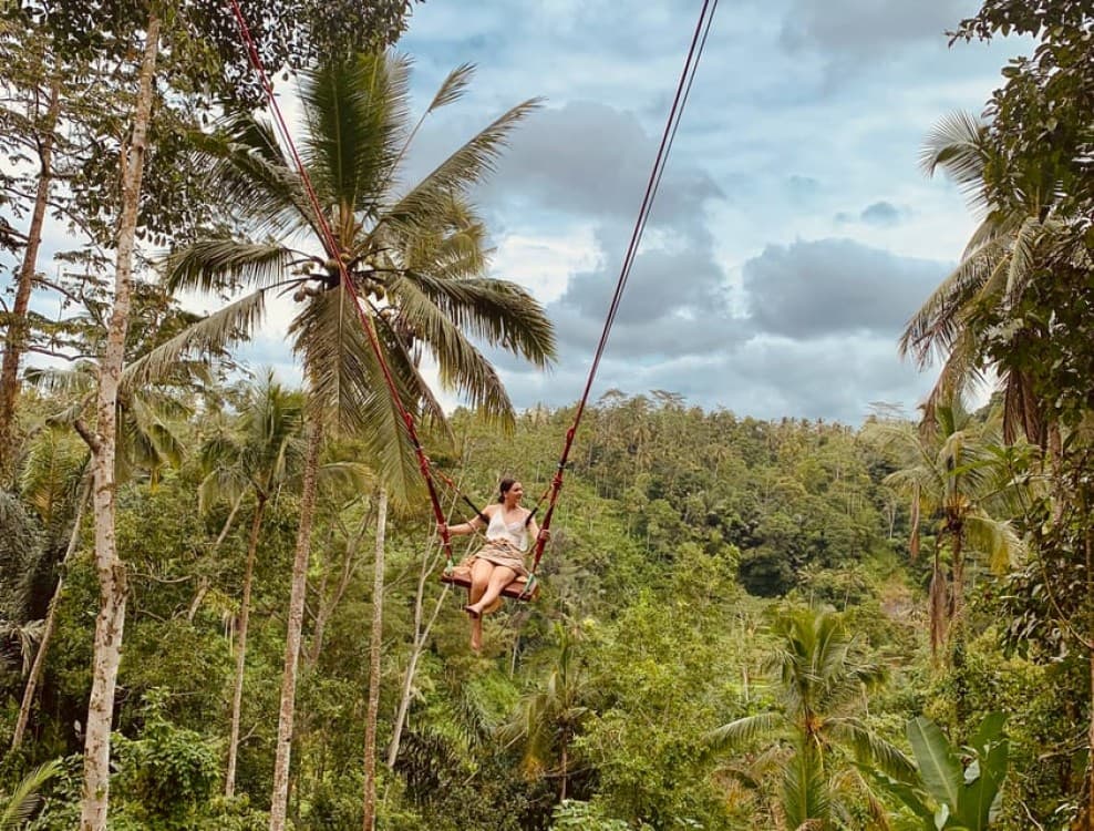 Bali: Swing with Falls Rice Terrace & Monkey Forest Option | ®ExcursionMania - Image 8