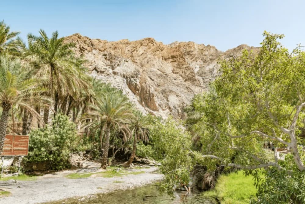 From Muscat: North Dunes and Wadi Hot Spring Tour with Lunch | ®ExcursionMania - Image 6