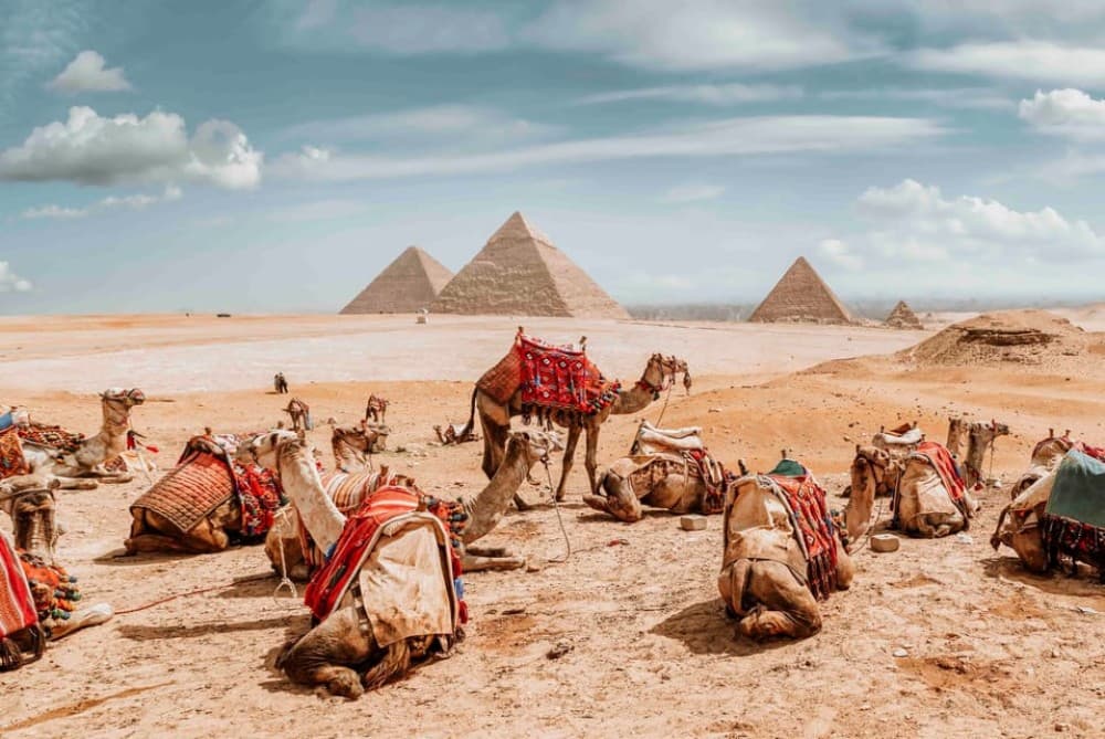 From Cairo: 8-Day Egypt Tour with Hotel Meals & Cruise | ®ExcursionMania - Image 6
