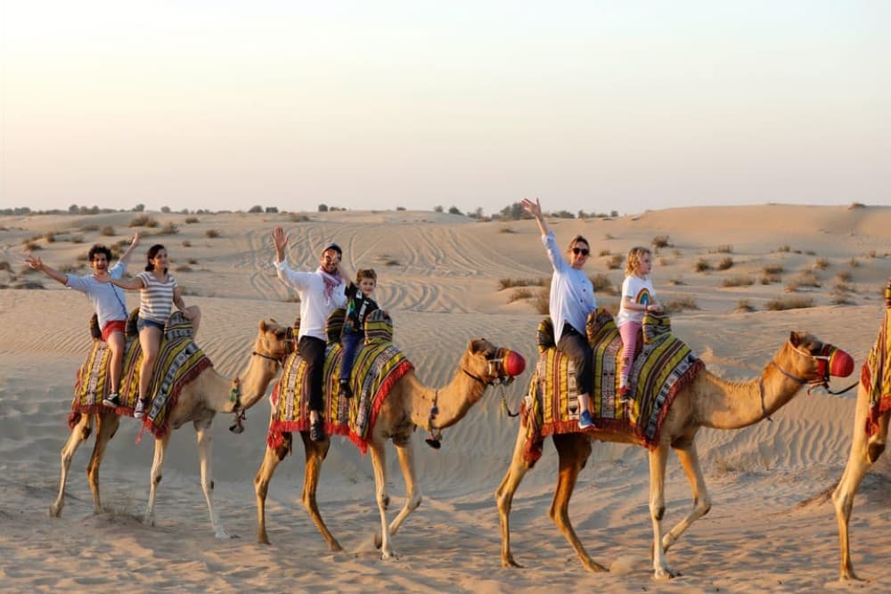 Dubai: Half-Day Camel Trekking with Al Marmoom Breakfast | ®ExcursionMania - Image 9