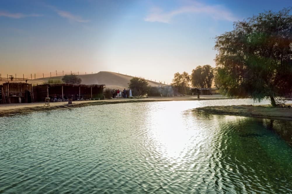 Dubai: Half-Day Camel Trekking with Al Marmoom Breakfast | ®ExcursionMania - Image 12