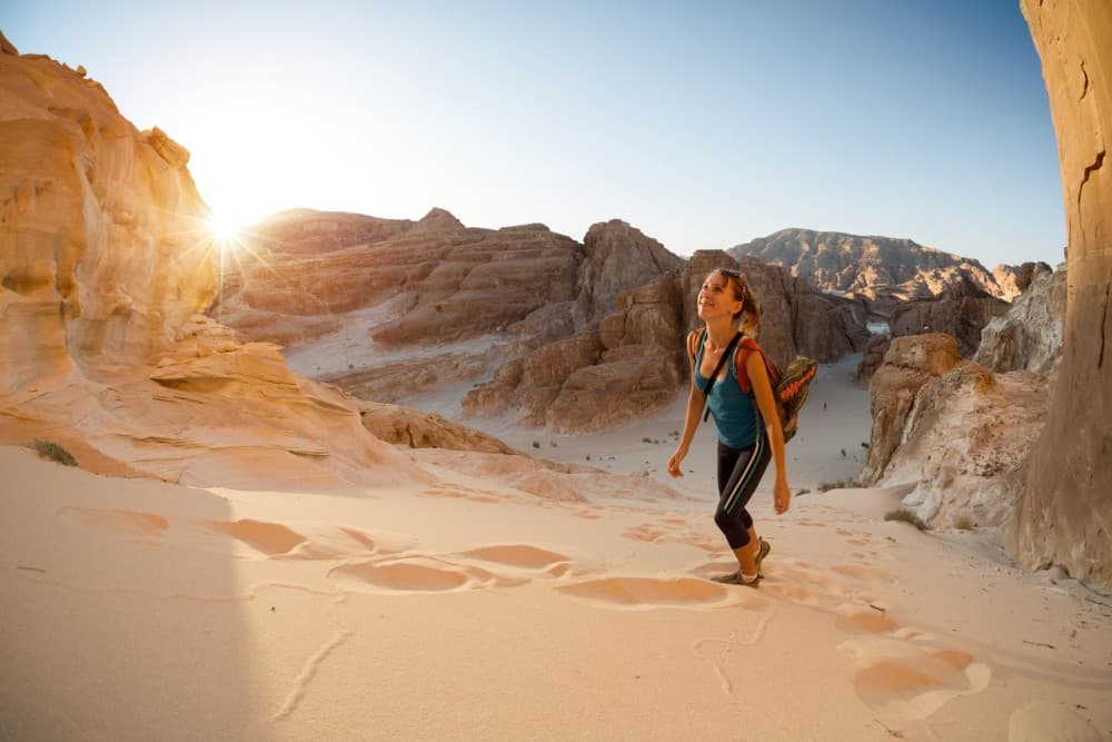 Marsa Alam: Desert Stargazing Tour with Camel Ride & Dinner | ®ExcursionMania - Image 2