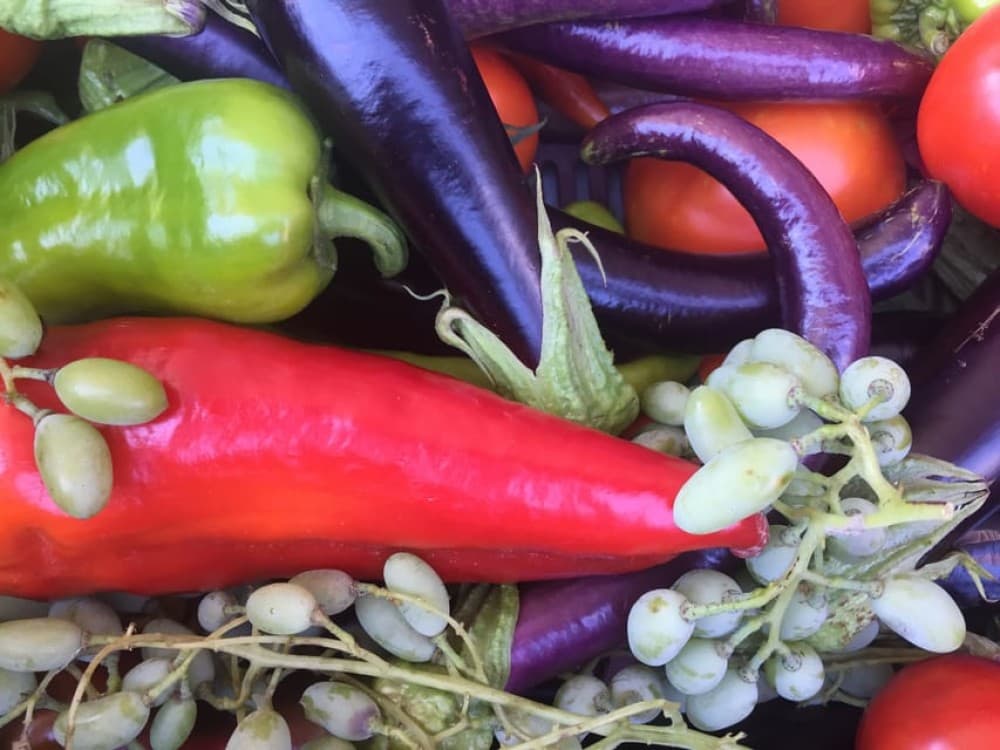 Bodrum Market Visit and Cooking Class With City Center Hotel Transfer | ®ExcursionMania - Image 3