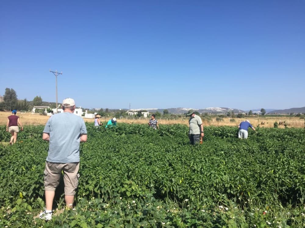 Bodrum Market Visit and Cooking Class With City Center Hotel Transfer | ®ExcursionMania - Image 2