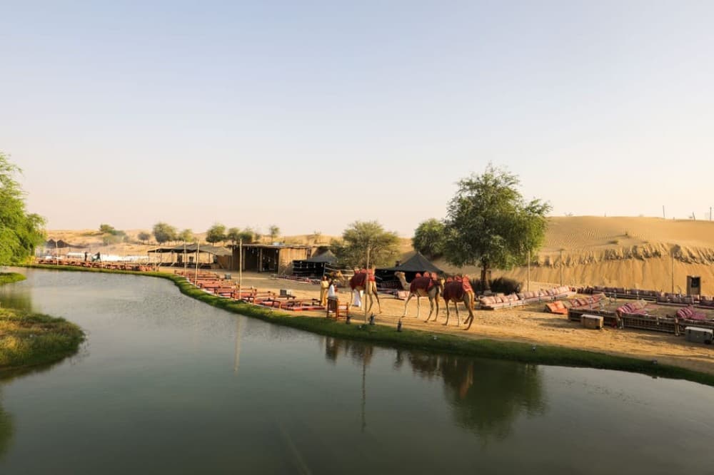 Dubai: Al Marmoom and Al Qudra Lakes Guided Tour with Dinner | ®ExcursionMania - Image 3