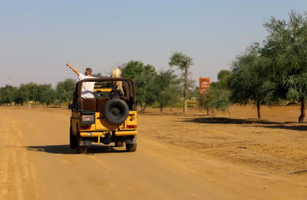 Dubai: Al Marmoom and Al Qudra Lakes Guided Tour with Dinner | ®ExcursionMania - Image 5