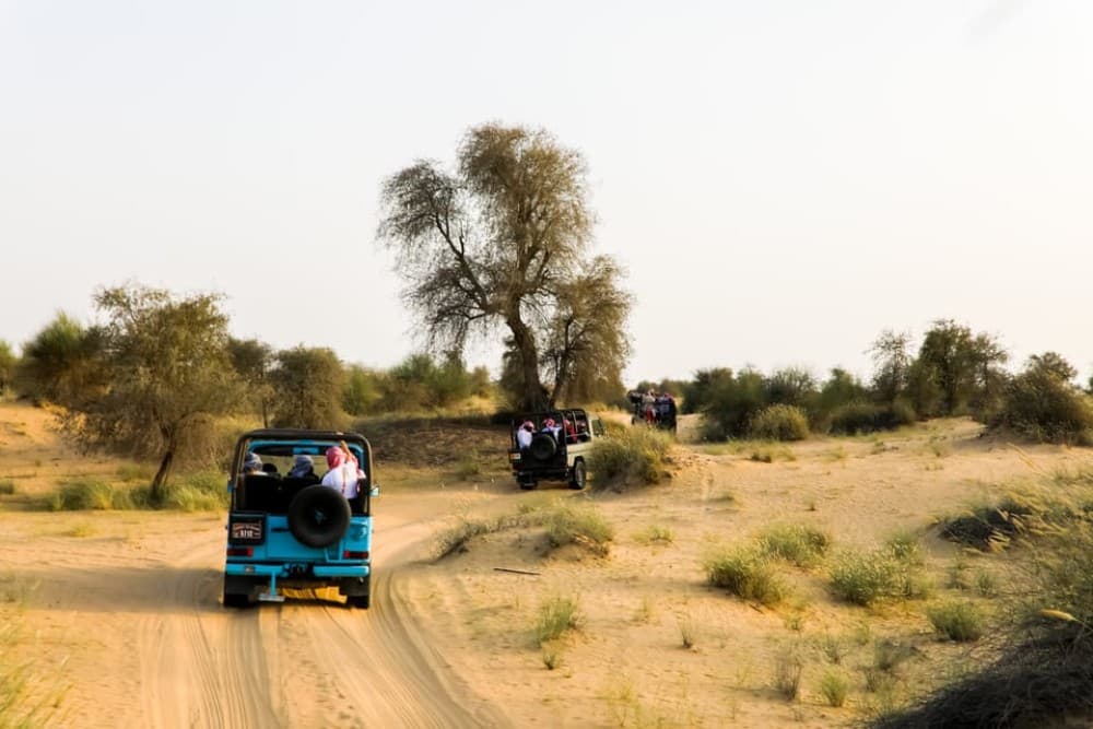 Dubai: Al Marmoom and Al Qudra Lakes Guided Tour with Dinner | ®ExcursionMania - Image 6