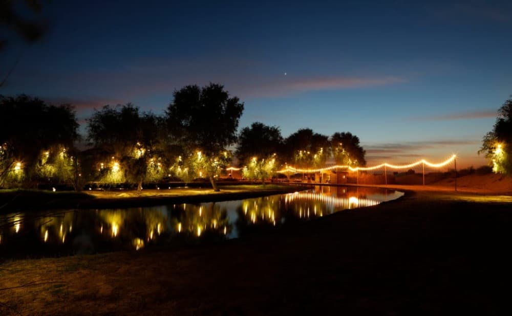 Dubai: Al Marmoom and Al Qudra Lakes Guided Tour with Dinner | ®ExcursionMania - Image 12