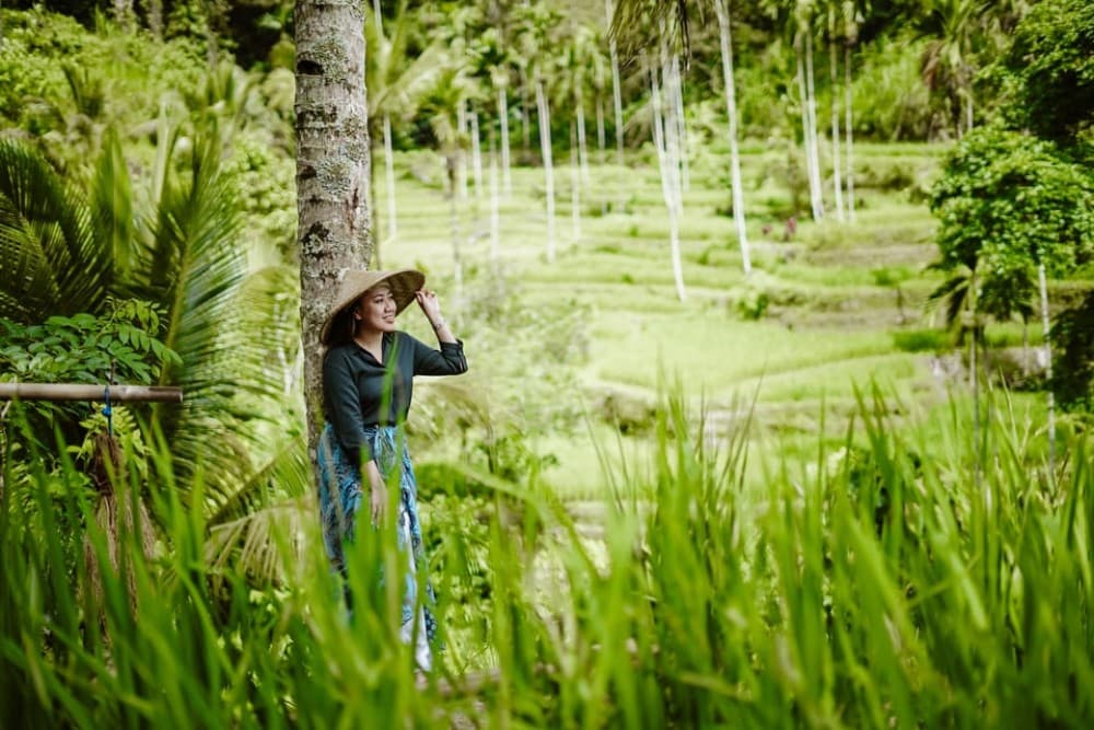 Bali: Full-Day Ubud Highlight & Tanah Lot Temple Sunset Tour | ®ExcursionMania - Image 5