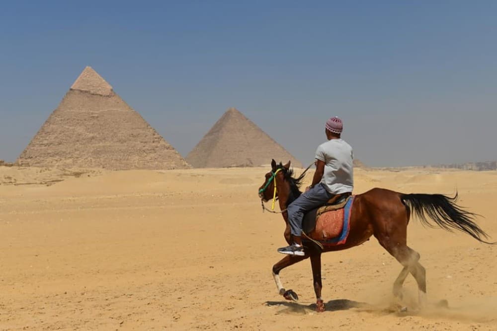 Cairo: Pyramids Arabian Horse Or Camel Ride With Bedouin Tea | ®ExcursionMania - Image 6