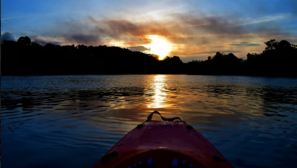 Cairo: Egyptian Museum  Kayaking on the River Nile Tour | ®ExcursionMania - Image 5