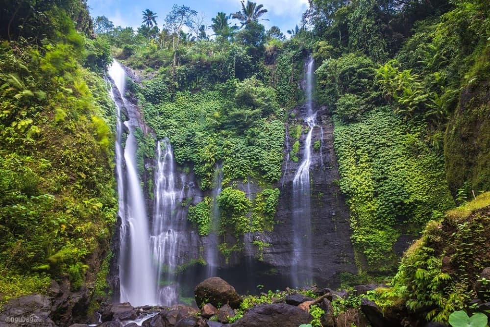 Munduk: Banyu Wana and Sekumpul Waterfall Trekking Tour | ®ExcursionMania - Image 1