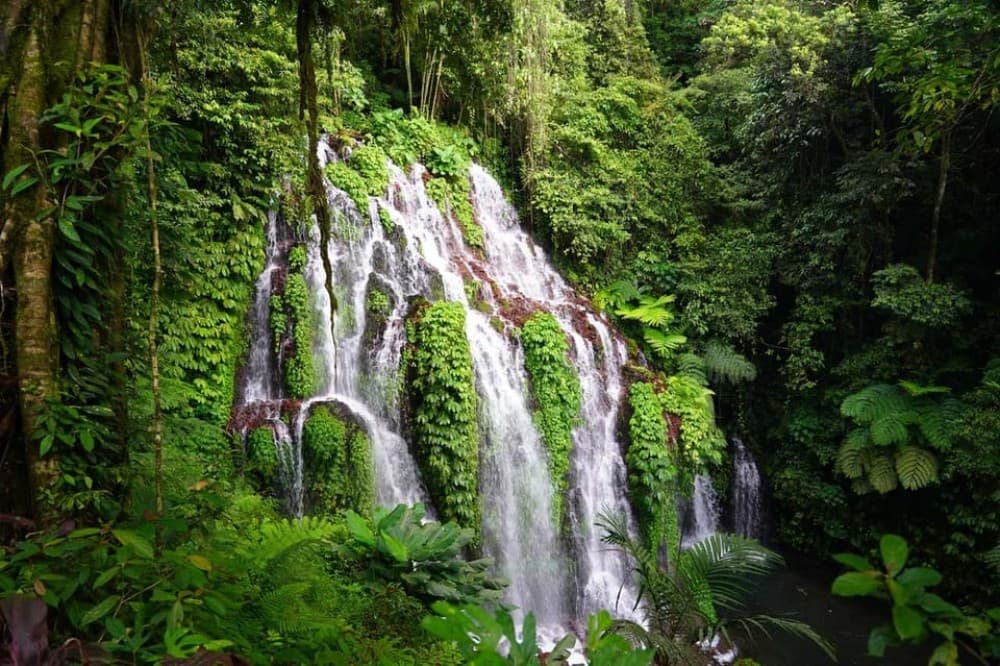 Munduk: Banyu Wana and Sekumpul Waterfall Trekking Tour | ®ExcursionMania - Image 3